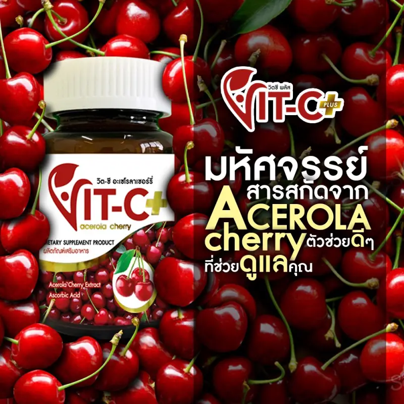 ภาพสินค้าVitamin C วิตามินซี Vit C Plus Zinc วิตามินซี เข้มข้น จากเชอร์รี่ อะเซโรลาเชอรี่ acerola cherry (30 เม็ด X 2 กระปุก) จากร้าน FUDH บน Lazada ภาพที่ 7