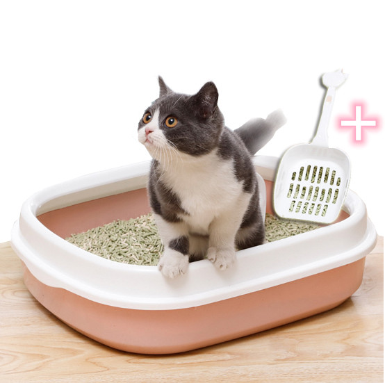 กระบะทรายแมว Cat Toilet ห้องน้ำแมว ขนาด 46x38x13 ซม. แถมฟรี ที่ตักทราย ถาดทรายแมว กระบะทราย สำหรับแมวทุกวัย Simplec