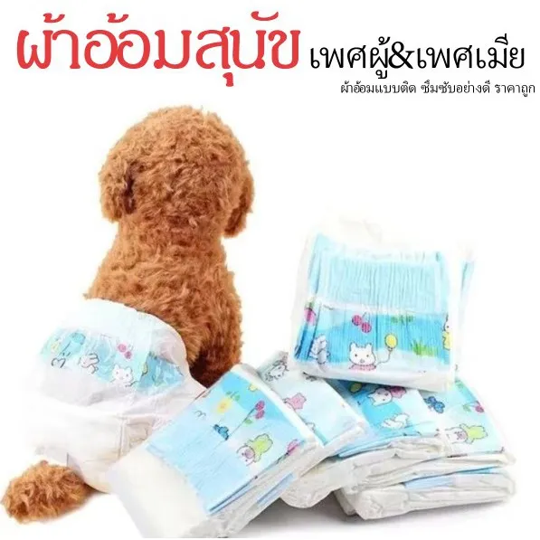 ผ้าอ้อม สำหรับสุนัข ใส่ได่ทั้ง เพศผู้เพศเมีย P217