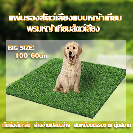 หญ้าเทียมยกม้วน แผ่นหญ้าเทียม หญ้าเทียมถูกๆ หญ้าเทียมปูพืน หญ้าเทียม หญ้าเทียมปูโตะ 100*60cm artificial grass pee indoor grass dog potty pads dog pee grass artificial grass mat