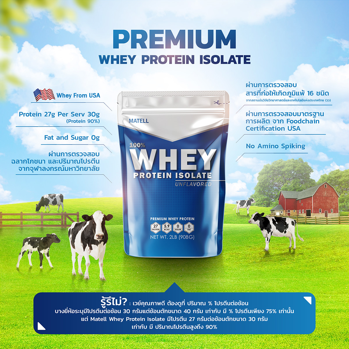 MATELL Whey Protein Isolate 5 Lb Non GMO and Non Hormones เวย์ โปรตีน
