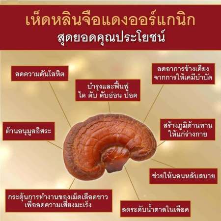 (จัดส่งฟรี) หลินจือซัน เอสโอเอ็ม SOM 1 กล่อง (60 ซอฟท์เจล)