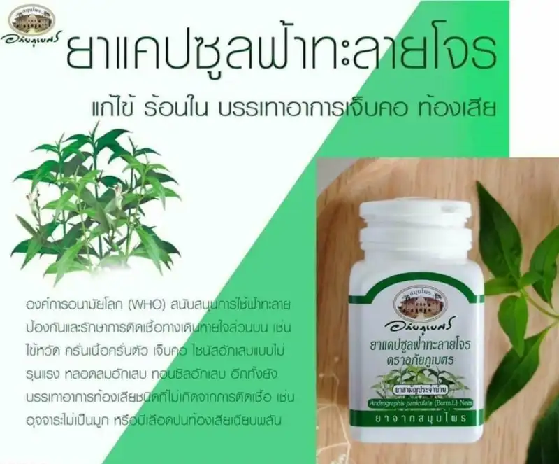 ภาพสินค้ายาแคปซูลฟ้าทะลายโจร แก้ไข้ อภัยภูเบศร 60 แคปซูล 2 ขวด จากร้าน Pharmacare-OfficialStore บน Lazada ภาพที่ 11