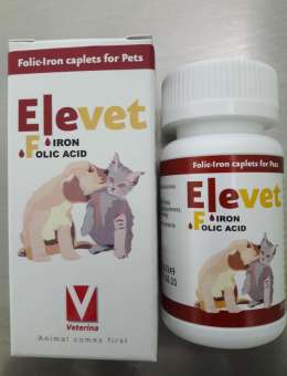 Elevet Iron Folic acid บำรุงร่างกาย สุนัข แมว