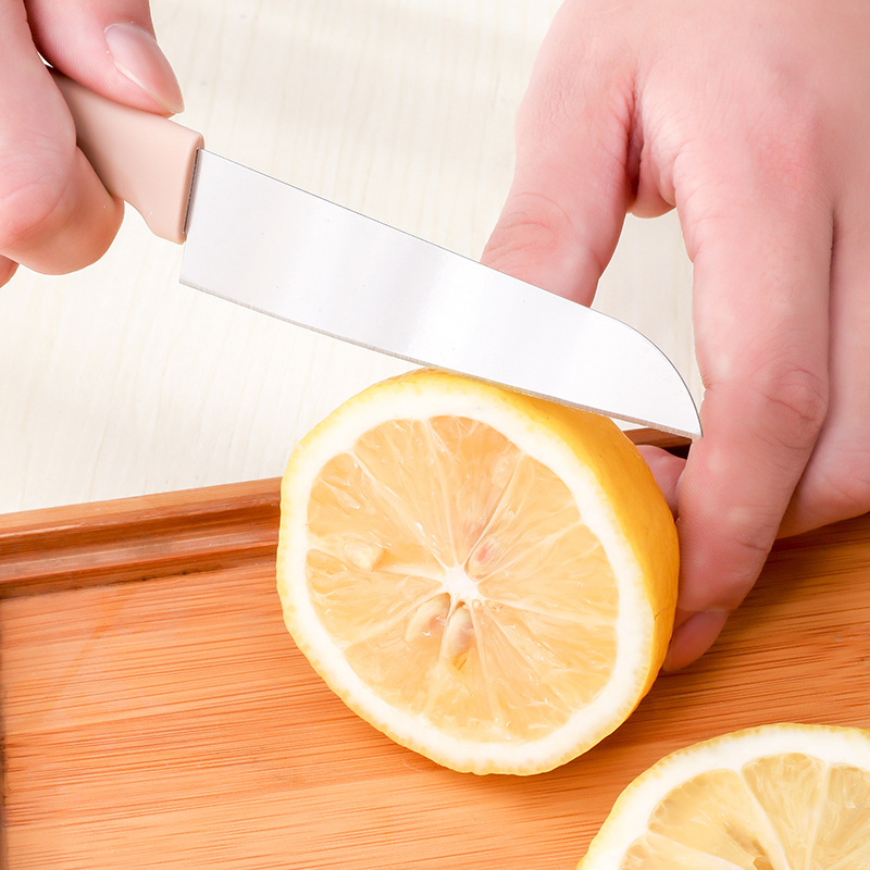 Kitchen fruit knives Stainless steel melon and fruit peeling knife