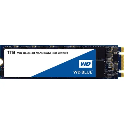 [พร้อมส่ง] WD SSD 1TB M.2 SATA 2280 BLUE (MS6-54)