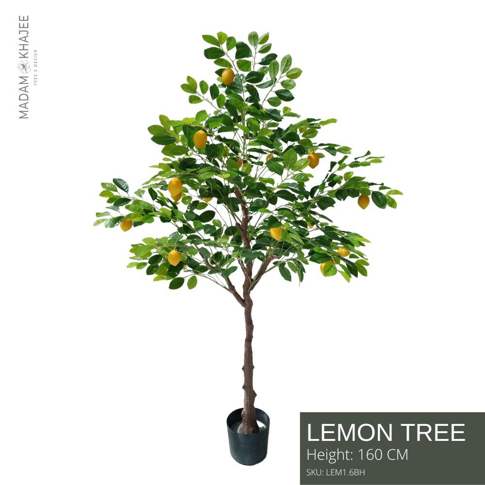 Lemon Tree Height 160 cm ต้นเลม่อน ความสูง 160 ซม.ต้นไม้ปลอมเกรดพรีเ