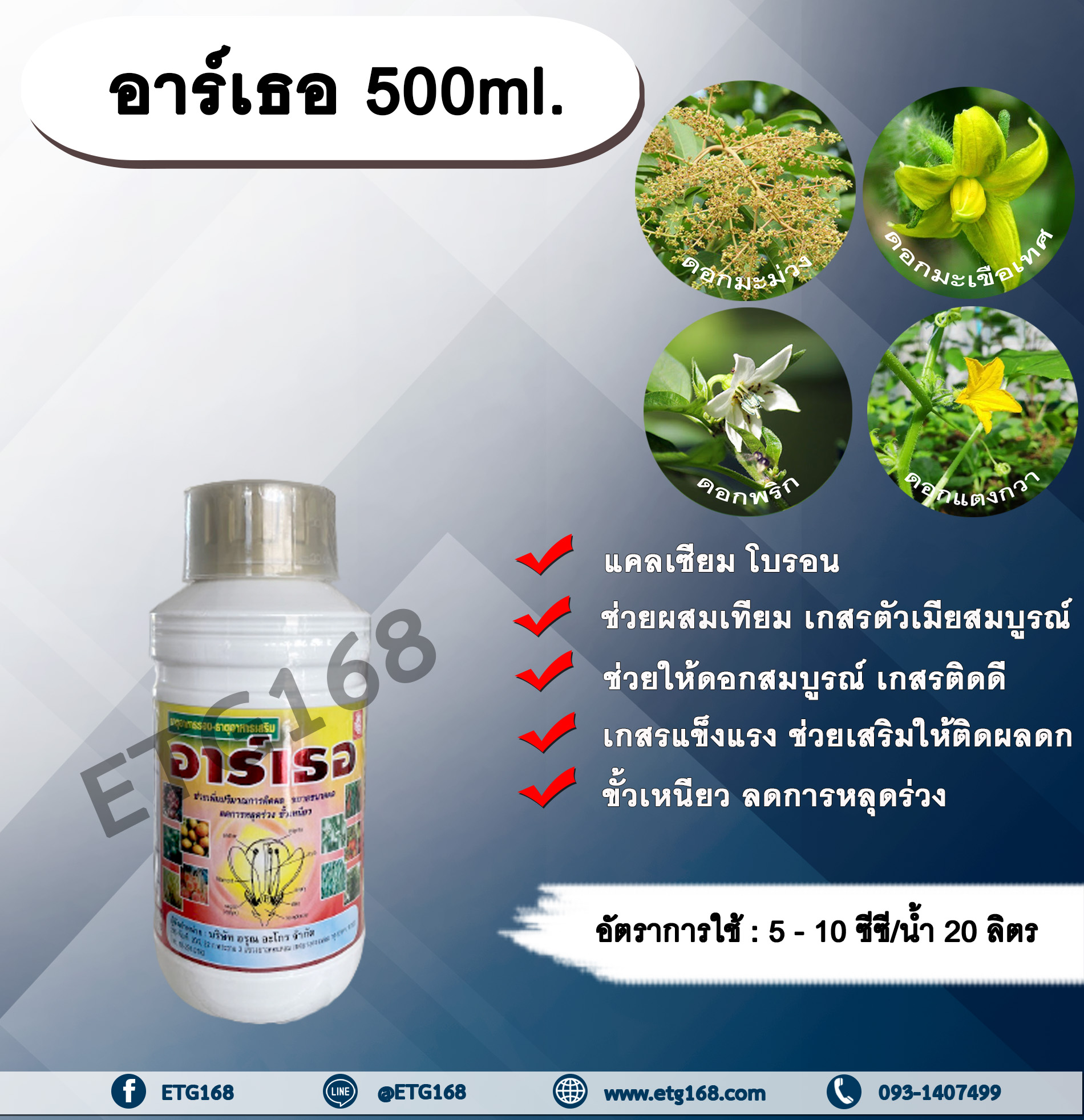 My Image 39
