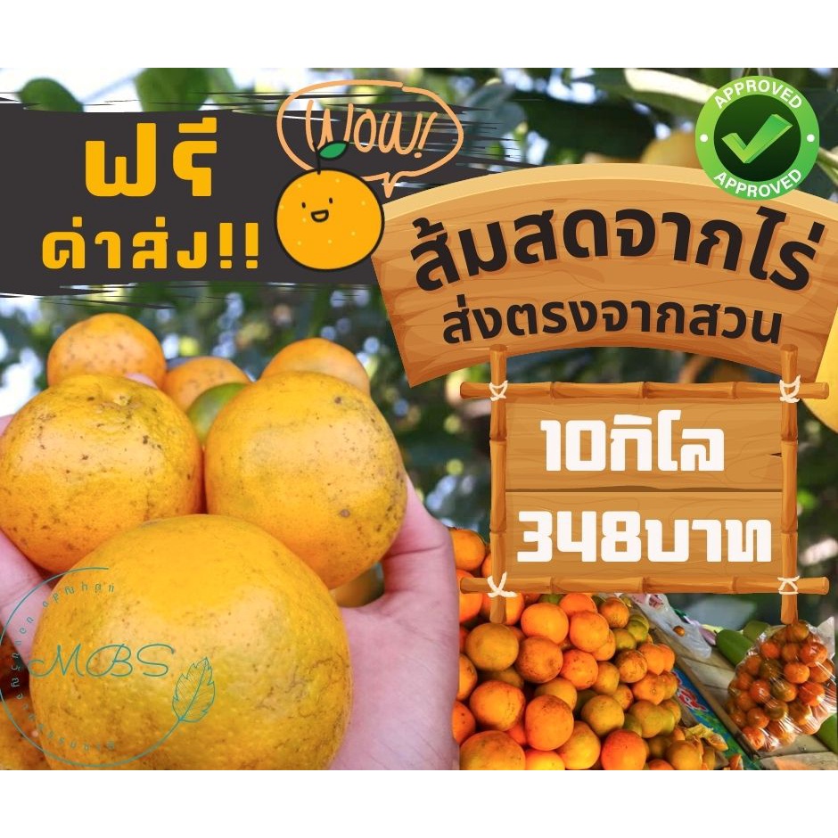 ส้มเขียวหวาน แพ็ค 600กรัม สดจากไร่ ส้มเขียวหวานพันธ์ุสีทองราคาส่งยกลัง ส่งตรงจากสวน มีเฉพาะตามฤดูกาล BYแม่บุญส่ง