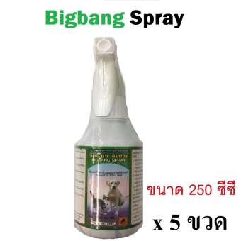 Bigbang Spray 250cc กำจัด เห็บ หมัด สุนัข แมว 250ซีซี x 5 ขวด