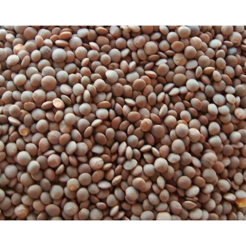 Brown Masoor Dal 1 KG.