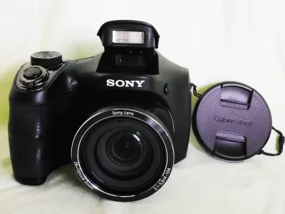 Sony H200 Camera with 26x Zoom 24-633mm Lens, SONY Cyber-shot DSC-H200 20.1Mp Optical SteadyShot image stabilization