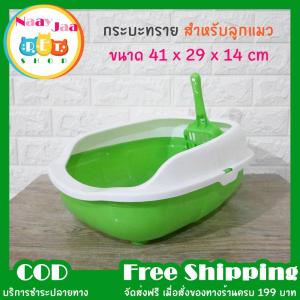 กระบะทรายแมว ห้องน้ำแมว มีขอบกันทราย ขนาด 41x29x14 cm แถมฟรีที่ตักทราย สีเขียว