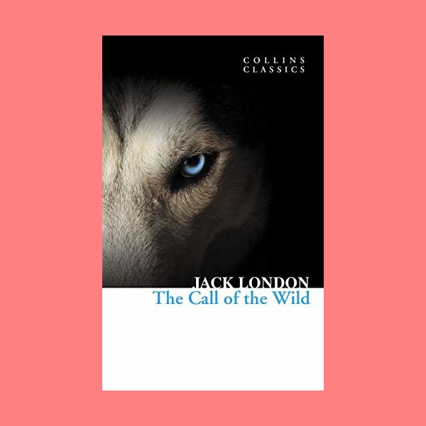 หนังสือนิยายภาษาอังกฤษ The Call of the Wild ชื่อผู้เขียน Jack London