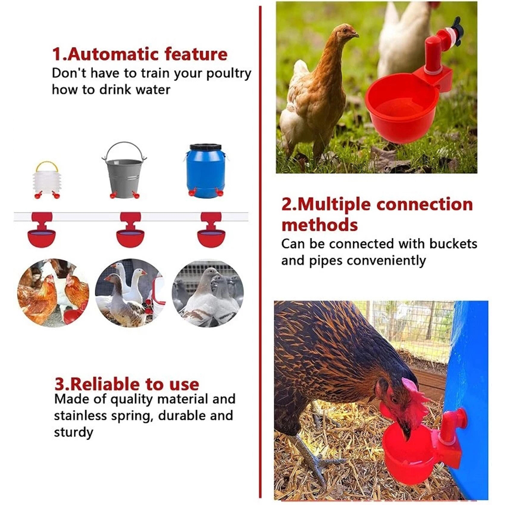 6pcs Chicken Drinking Bowl Poultry Automatic Drinking Fountain Drinking Cup For Ducks Turkeys Birds