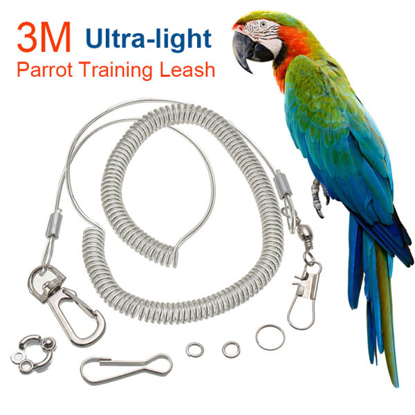 SANTO Linh hoạt Siêu nhẹ Ngoài trời Với vòng chân Dành cho Lovebird / Cockatiel / Macaw Bay Đồ dùng cho thú cưng Dây huấn luyện Khai thác con vẹt Dây xích huấn luyện chim