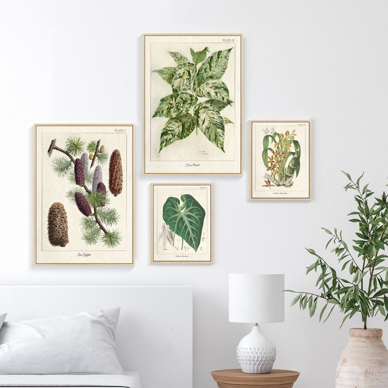 Vintage Wild Plant Poster Botanical Flower Study Poster Living Room ...