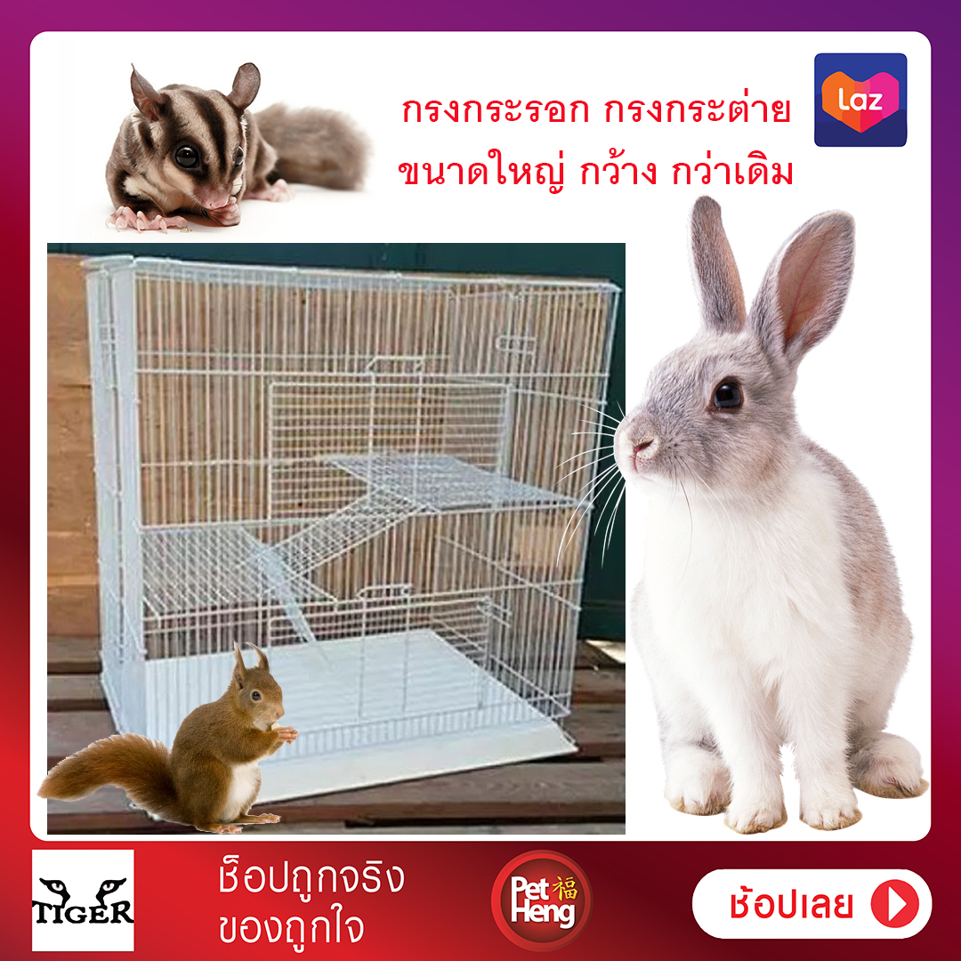 My Image 37