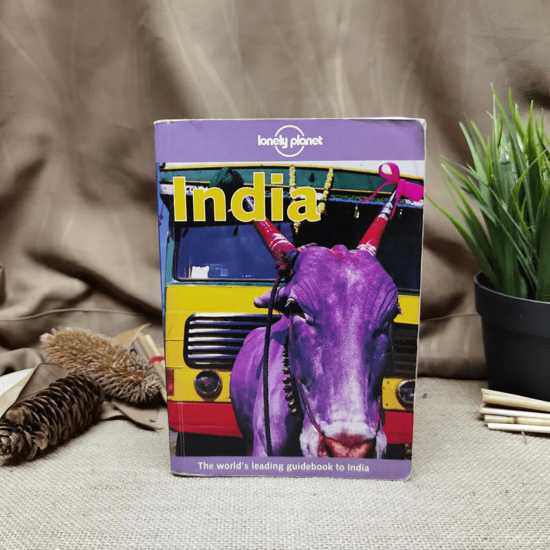 India - lonely planet