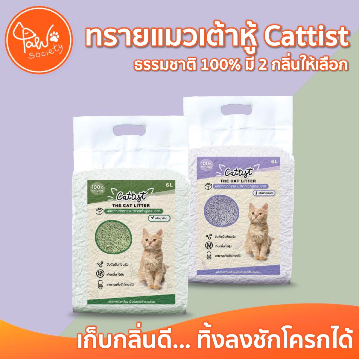 PawSociety ทรายแมว เต้าหู้ Cattist 6ลิตร กลิ่นชาเขียว ลาเวนเดอร์ เทลงชักโครกได้ ทรายเต้าหู้