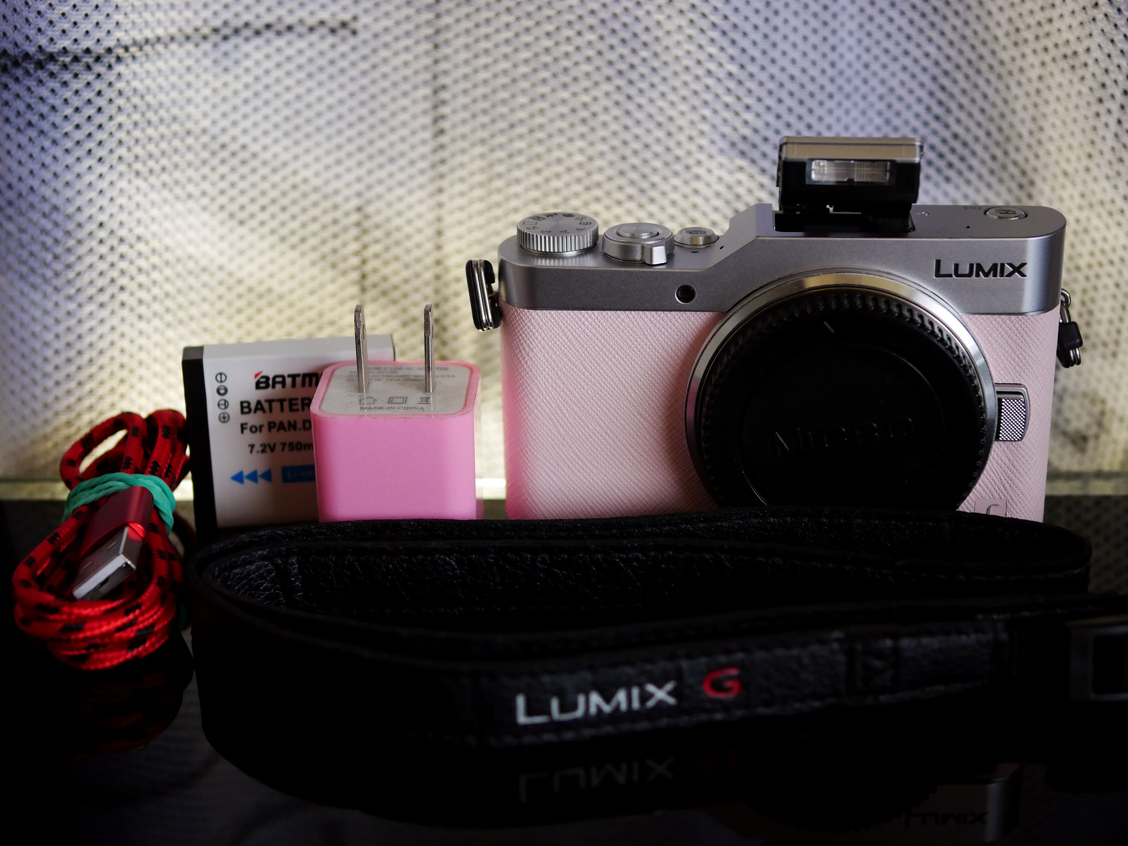 Panasonic DCGF9 WiFi Vlogger camera Pink body 4K Video GX800 (GX850