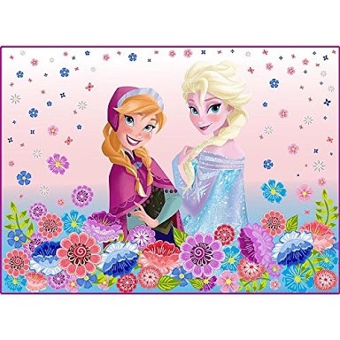 Disney's Frozen Polyester Area Rug, 40  x 56  in USA