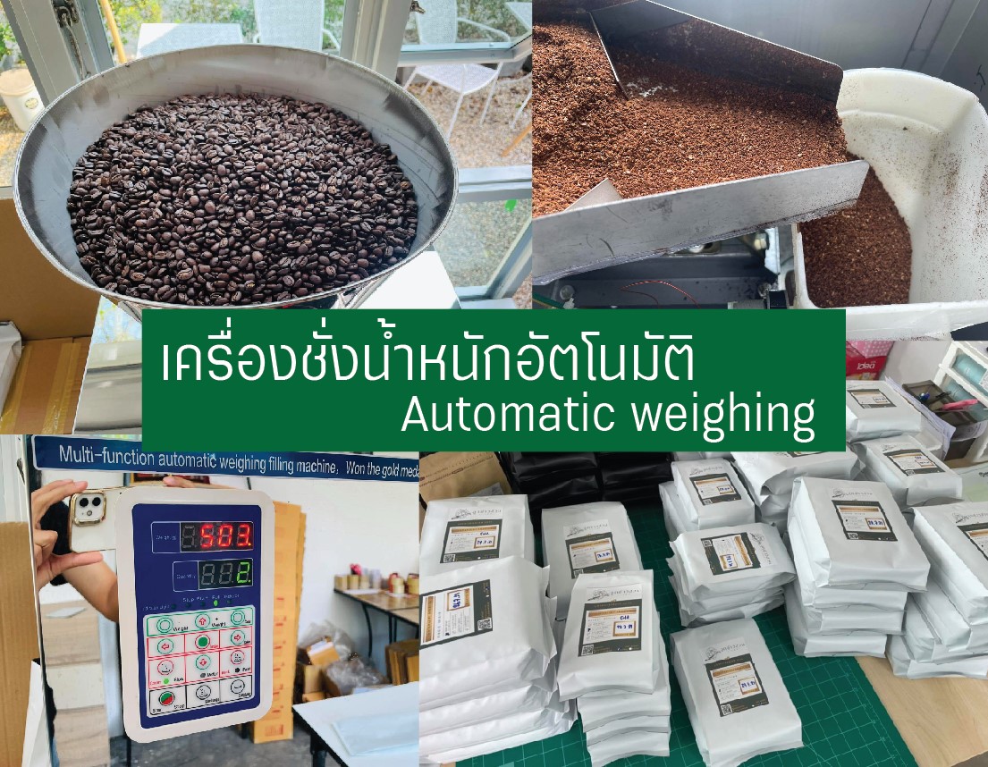 กาแฟคั่ว 500 กรัม (คั่วกลางเข้ม FullCity) ดอยผาฮี้ อาราบิก้า100 Washed ...