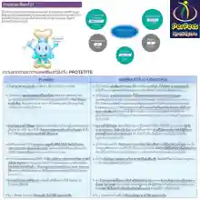 ภาพขนาดย่อของภาพหน้าปกสินค้าDr.BOPLUS ดร.โบพลัส Protetite สารอาหารธรรมชาติ เพิ่มมวลกระดูก ลดความเสื่อม ลดกระดูกพรุน เพิ่มความสูง ดูดซึมไว 100% นำเข้าจากญี่ปุ่น 120เม็ด x 3 ขวด จากร้าน Perfect Healthcare บน Lazada ภาพที่ 8