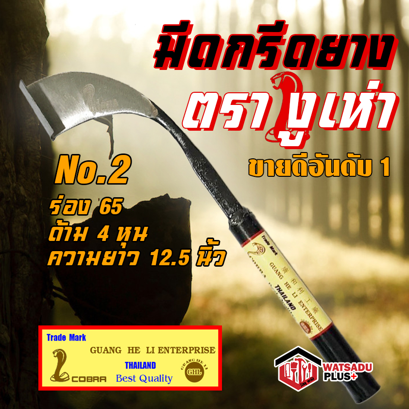 My Image 25