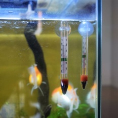 เทอร์โมมิเตอร์ วัดอุณหภูมิน้ำ ตู้ปลากุ้ง 1 อัน ยาว 11ซม. สามารถติดตั้งในน้ำตู้ปลากุ้งหรือนอกตู้ได้