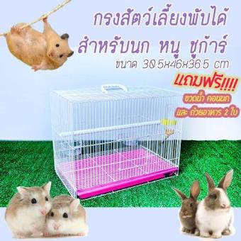 กรงสัตว์เลี้ยงพับได้พร้อมถาดพลาสติกสำหรับนก หนู ชูการ์ รหัส431 ขนาด30.5x46x36.5cm. กรงสัตว์เลี้ยงพับได้พร้อมถาดพลาสติกสำหรับนก หนู ชูการ์ รหัส431 ขนาด30.5x46x36.5cm.