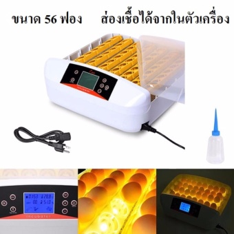 ตู้ฟักไข่อัตโนมัติรุ่น 56 ฟอง มีไฟส่องเชื้อในตัว ตู้ฟักไข่อัตโนมัติรุ่น 56 ฟอง มีไฟส่องเชื้อในตัว