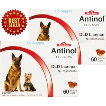 ราคา Antinol DOG (2 กล่อง) อาหารเสริมบำรุงข้อสุนัข รักษาข้ออักเสบ (EXP: 06/2020) ++ส่งฟรี KERRY++ พันทิป