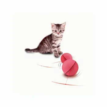Cat Accessories ของเล่นแมว ลูกบอลแสงไฟกลิ้งอัตโนมัติ(สีชมพู) แถมฟรีถ่าน พร้อมเล่น รีวิว