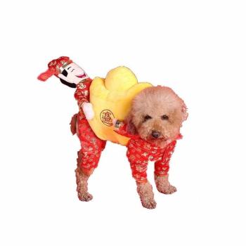 ราคา D-Pocket Pet Clothes God Of Wealth To Embrace Silver Piece Of Clothing - S - intl ดีไหม