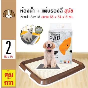 ข้อมูล Dr.Lee ถาดฝึกฉี่ ถาดรองซับ ห้องน้ำสุนัข Size M 65x54x6 ซม. + Hajiko Charcoal แผ่นรองซับสัตว์เลี้ยง สูตรชาร์โคล สำหรับสุนัข ขนาด 45x60 ซม. (50 แผ่น/ แพ็ค) ดีไหม