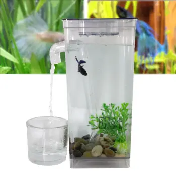 รีวิว Sinlin ตู้ปลามินิ พร้อมไฟ LED My Fun Fish Cleaning Tank รุ่น MFT02-IY ดีไหม