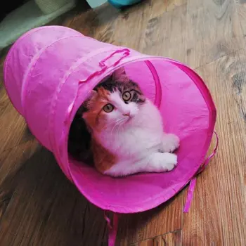 ข้อมูล Indoor Cat Kitten Play Tunnel Playing Toy Collapsible Tunnel With Hanging Ball - intl รีวิว