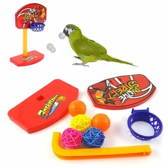 ใหม่นกแก้วปริศนาชุดฝึกลูกบอลสัตว์เลี้ยงนก Chew ของเล่นนกแก้ว Parakeet ลูกนกแก้วของเล่น Birdie บาสเกตบอล Hoop เสา- นานาชาติ