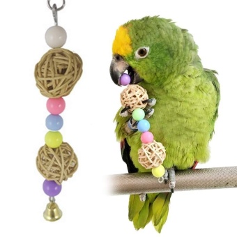 Parrot Chewy Cubes สัตว์เลี้ยงนก Budgie Cockatiel แกว่งของเล่นกัด Climb Chew ของเล่น - นานาชาติ