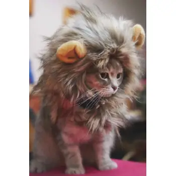 โปรโมชั่น สัตว์เลี้ยงสิงโตแผงคอหมวกวิกผมสำหรับวันฮาโลวีนแต่งตัวแมวที่มีงานเทศกาลหู พันทิป