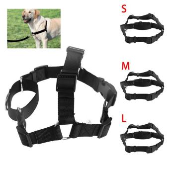 ปลอดภัยสำหรับสัตว์เลี้ยงทางเดินสะดวกสายจูงสุนัข Medium สบายและมีสไตล์ Leash ตะกั่ว (สีดำ, L) - INTL