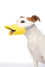 ปากเป็ด ที่ครอบปากสุนัข กันเลีย กันเห่า กันกัด Size L สีเหลือง