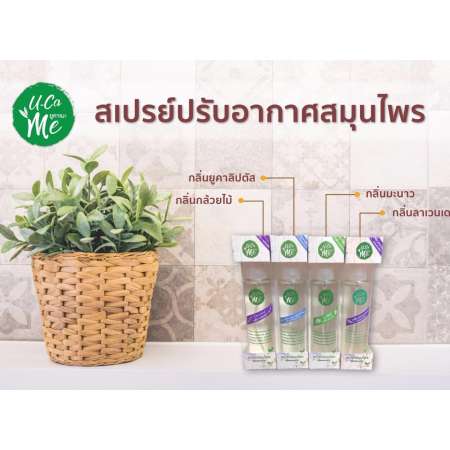 Ucame สเปรย์ปรับอากาศ สเปรย์กำจัดไรฝุ่น ดับกลิ่นอับ กลิ่นไม่พึงประสงค์ 210 ml. (Orchid/กลิ่นกล้วยไม้) Set 2 ขวด