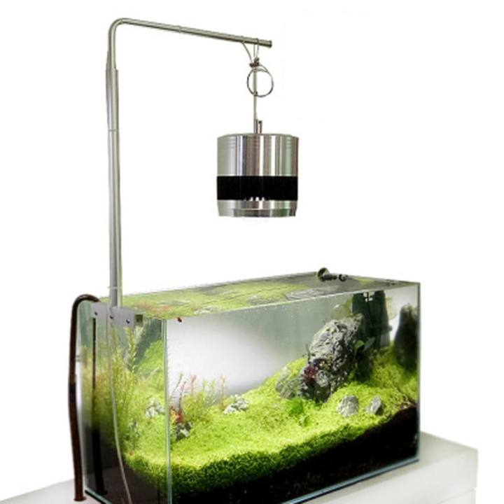 fish tank