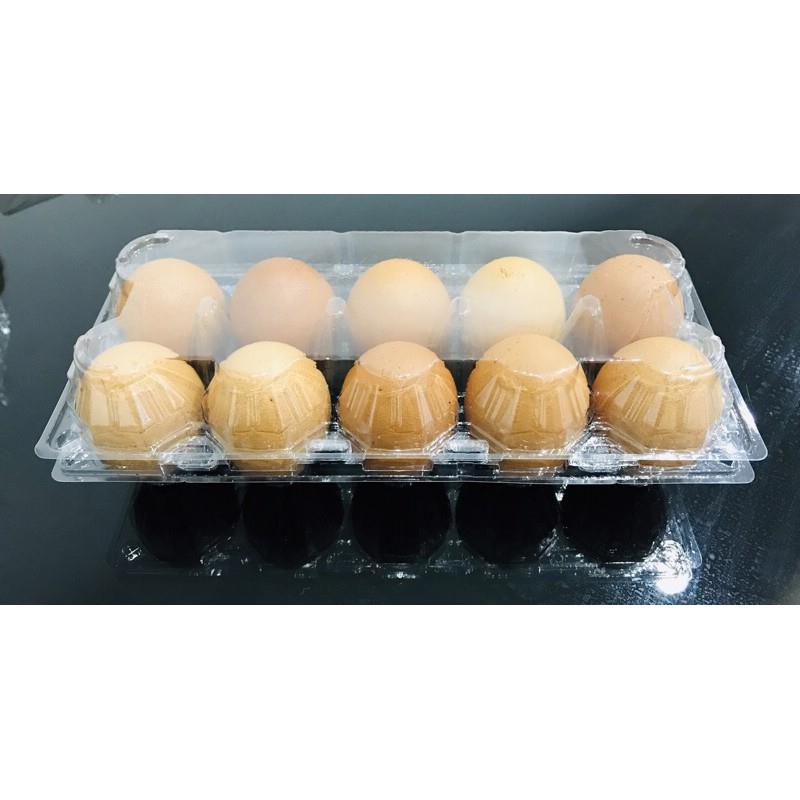 【จุดขายร้อน】 ใหม่ 2021 50 ชิ้น🌷แไข่ 10 ฟอง ล็อคได้ ถาดไข่ 10 ฟอง กล่องไข่ 10 ฟอง พลาสติกใส แพ็คไข่ มีปุ่มล็อค ล็อคแน่น ไม่ต้องเย็บแม็ก