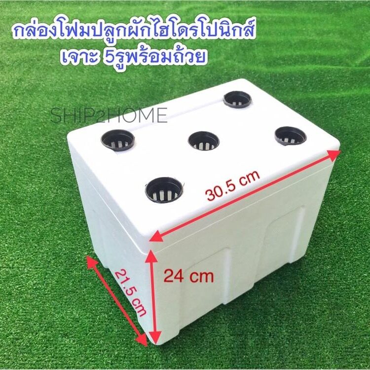 My Image 15