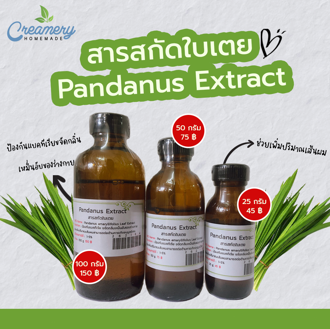 สารสกัดใบเตย Pandanus Extract สารสกัดสมุนไพร สำหรับผสมเครื่องสำอาง