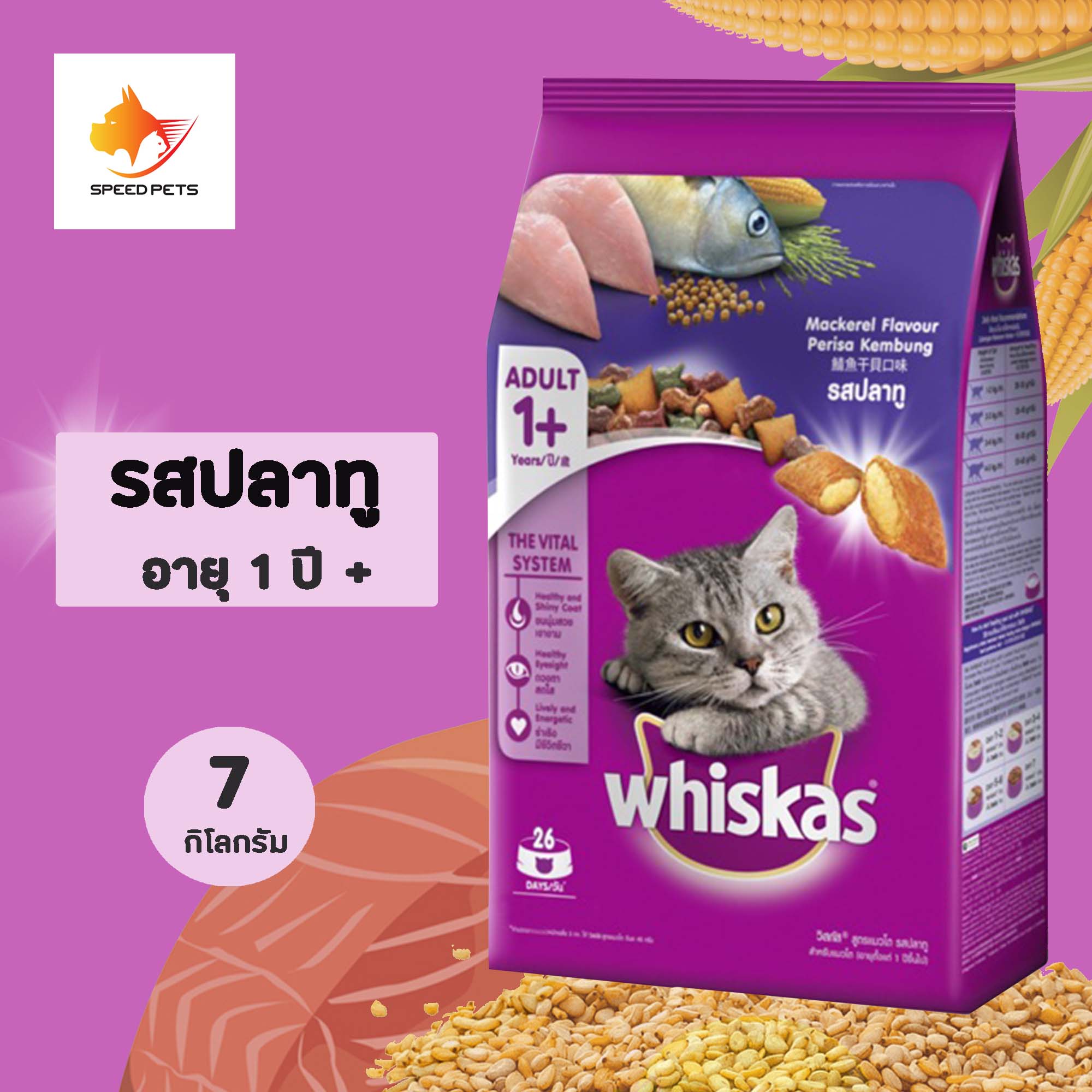 ราคา Whiskas Adult Cat Food 7 Kg วิสกัส อาหารแมว แมวโต แบบเม็ด อายุ 1