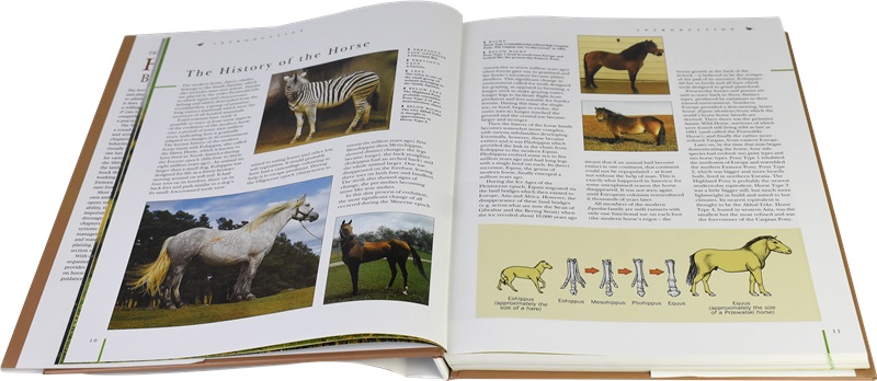 The breed and cultural theme of the Ultimate Encyclopedia of horses ...